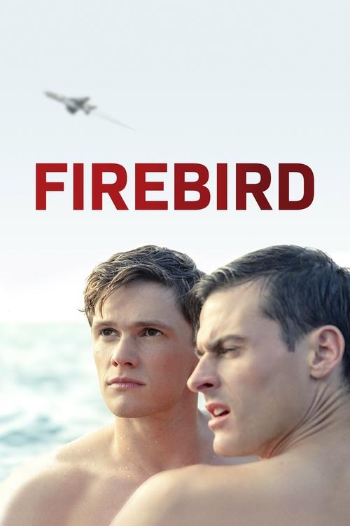 Movie poster for Firebird (2021)