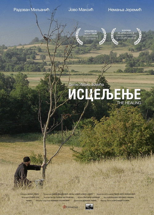 Movie poster for The Healing (2014)