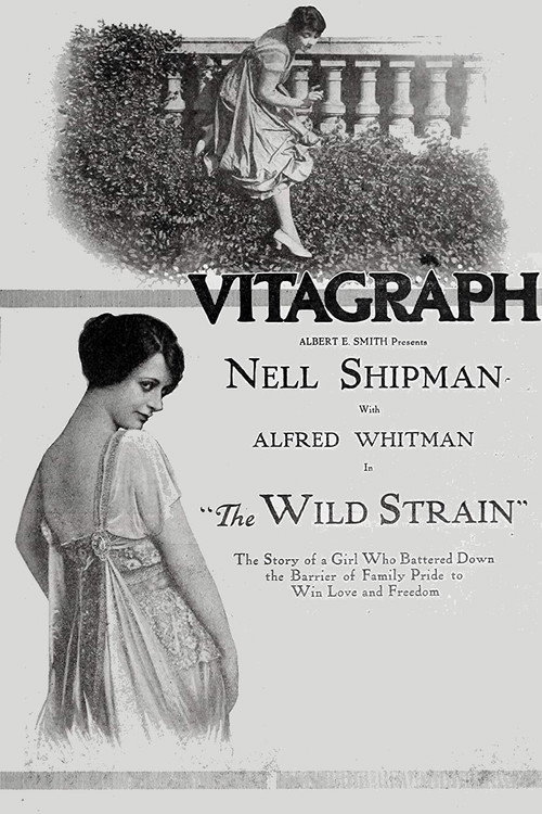 Movie poster for The Wild Strain (1918)