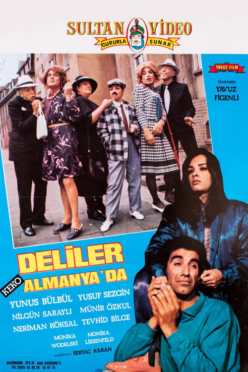 Movie poster for Deliler Almanya'da (1980)