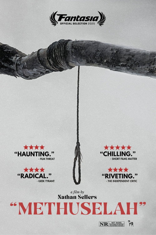 Movie poster for Methuselah (2024)
