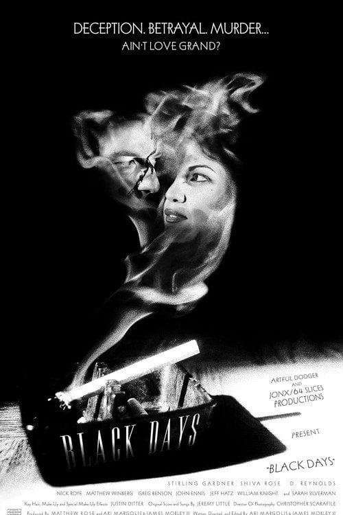 Movie poster for Black Days (2001)