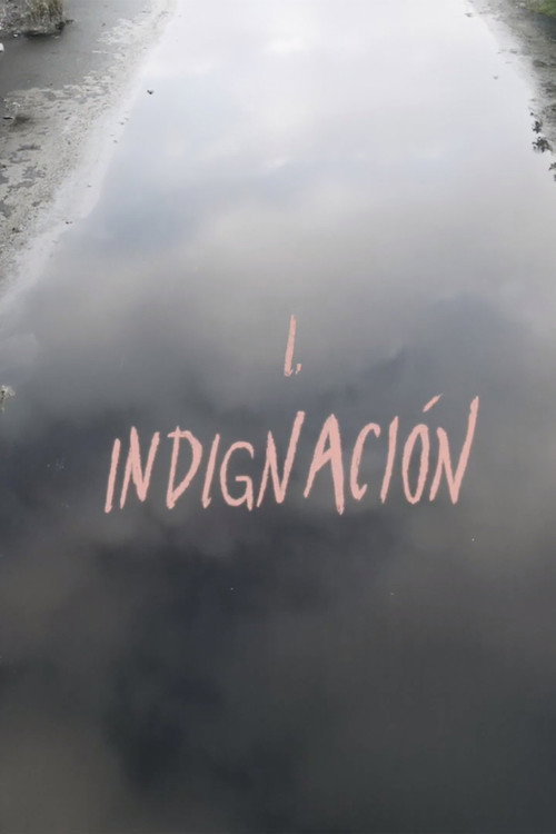 Movie poster for Indignation