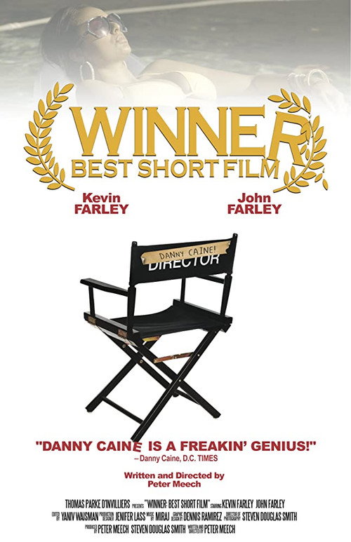 Movie poster for Winner: Best Short Film (2010)