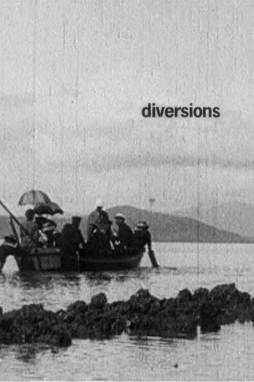 Movie poster for Diversions (2009)