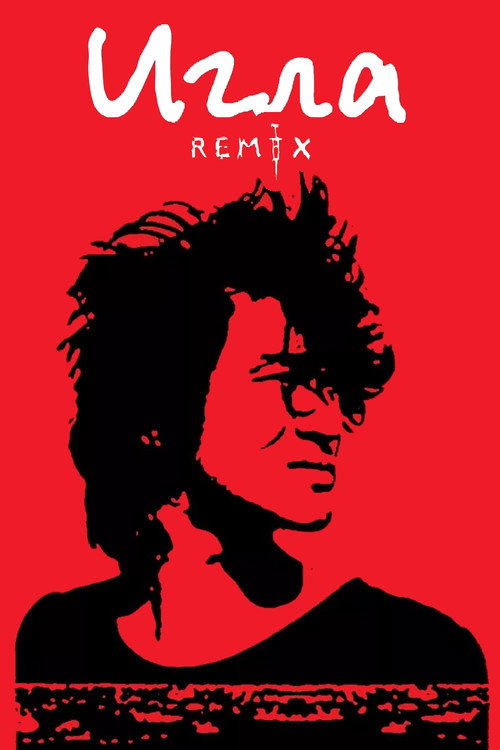 Movie poster for The Needle Remix (2010)