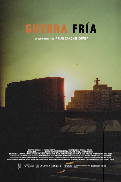 Movie poster for Cold War (2024)