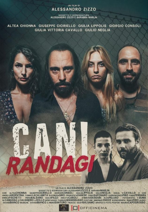 Movie poster for Cani randagi (2023)
