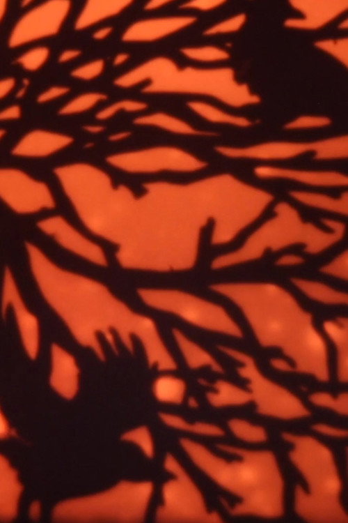 Movie poster for Fire Fly EYE (2020)