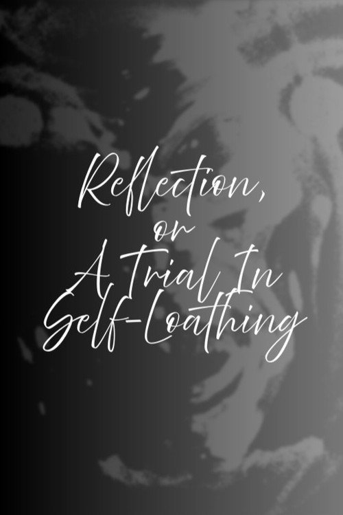 Movie poster for Reflection