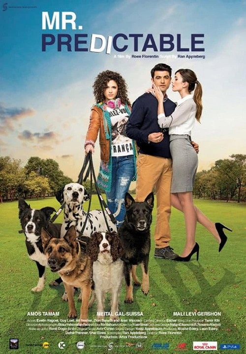 Movie poster for Mr. Predictable (2016)
