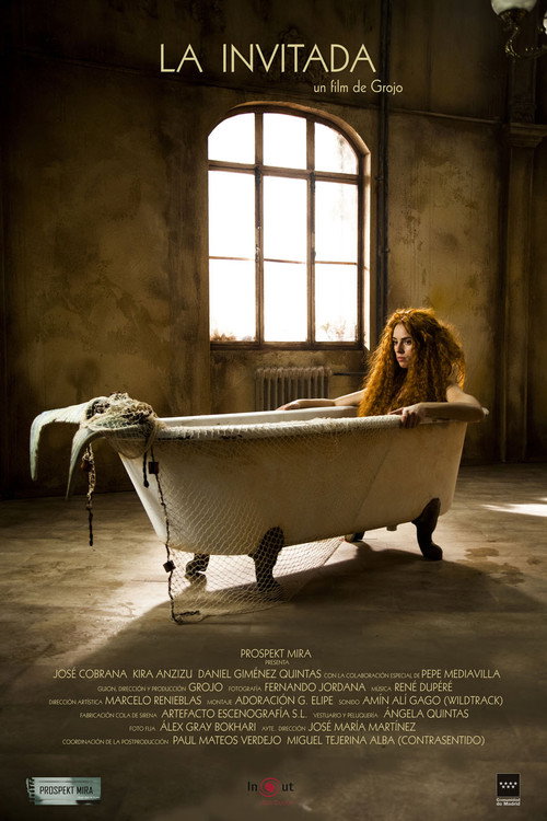 Movie poster for La invitada (2017)
