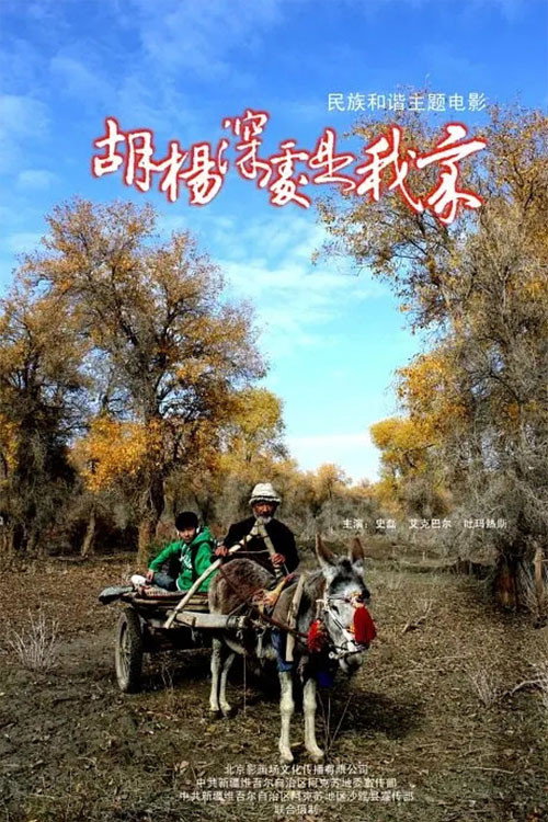 Movie poster for 胡杨深处是我家 (2011)