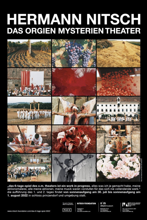 Movie poster for Das Orgien Mysterien Theater (2005)
