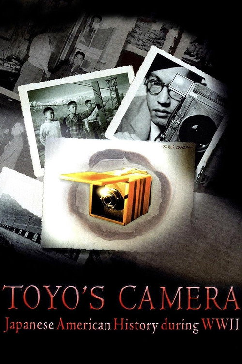 Movie poster for Toyo's Camera (2009)