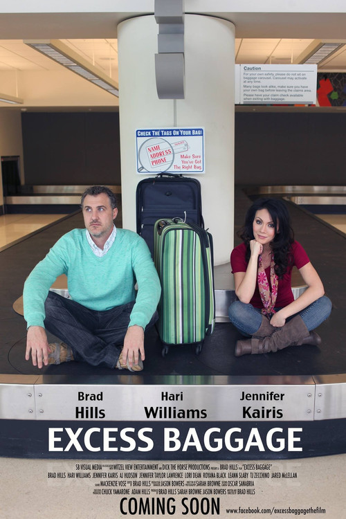Movie poster for Excess Baggage (2015)