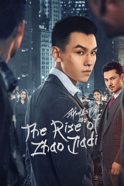 The Rise of Zhao Jiadi poster