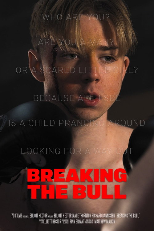Movie poster for Breaking the Bull