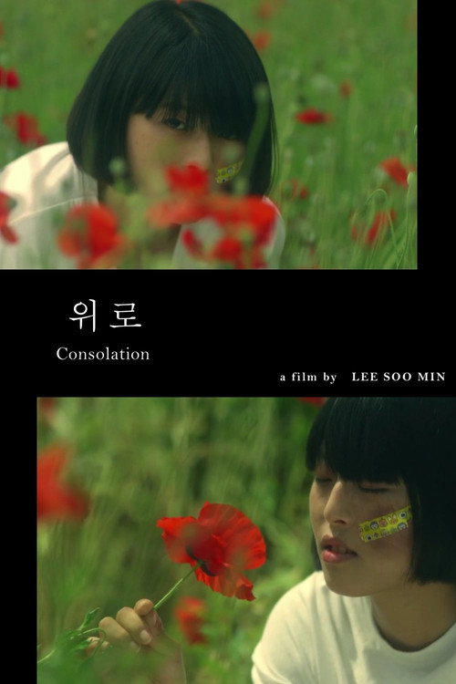 Movie poster for Consolation (2015)