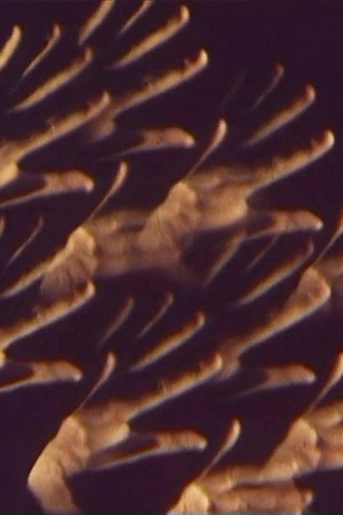 Movie poster for Ballett-Film (1968)