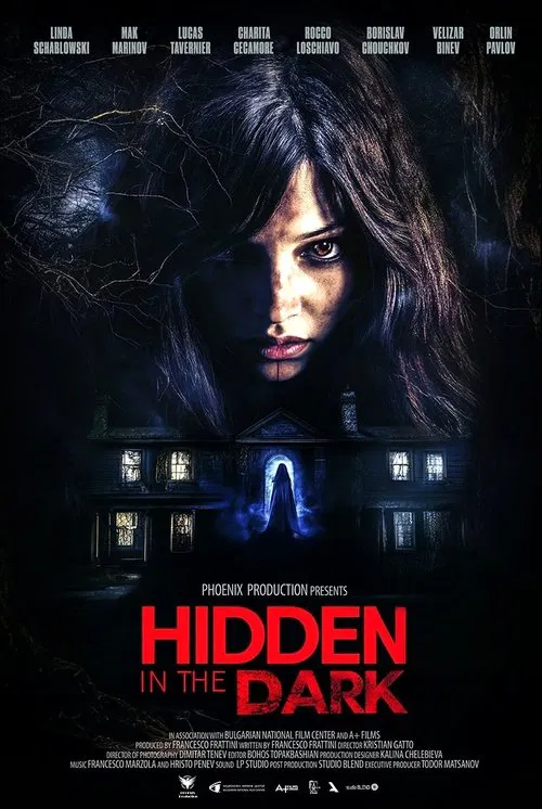 Movie poster for Hidden in the Dark (2025)