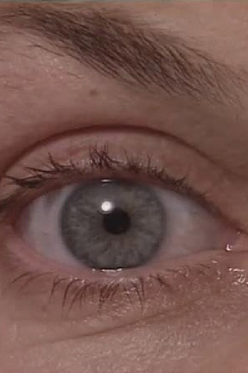 Movie poster for The Eyewitness (1996)