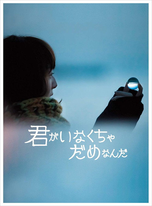 Movie poster for Kimi ga Inakucha Dame Nanda (2015)