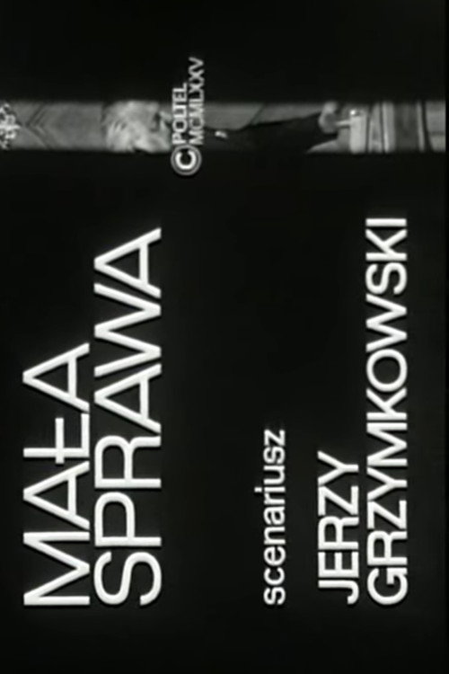 Movie poster for Mała sprawa (1980)