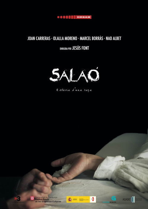 Salaó poster