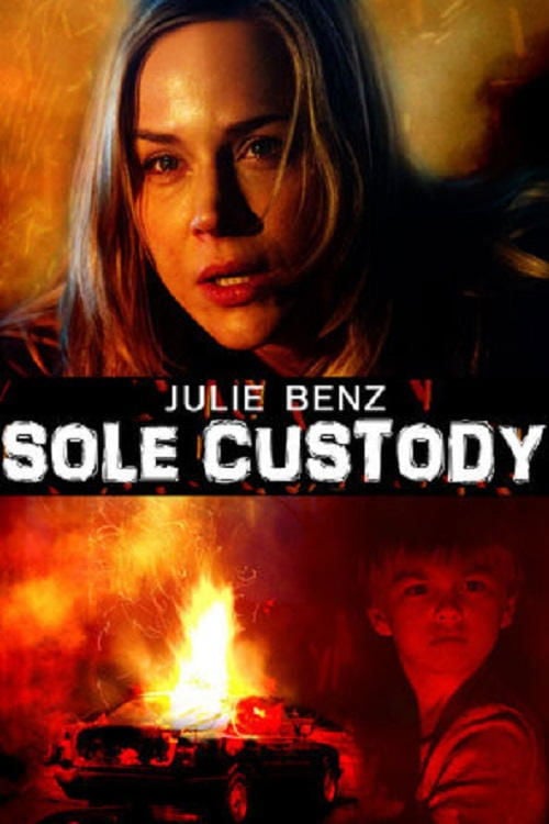 Movie poster for Sole Custody (2014)