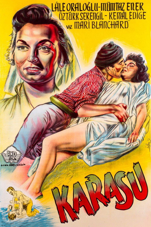 Movie poster for Karasu (1958)