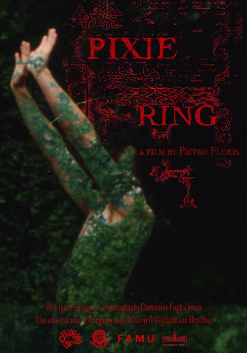 Movie poster for Pixie Ring