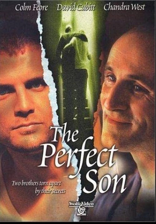Movie poster for The Perfect Son (2000)