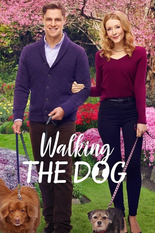 Movie poster for Walking the Dog (2017)