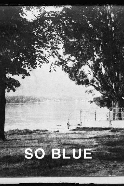 Movie poster for The Danube so Blue (2025)