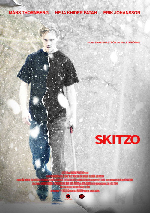 Movie poster for Skitzo
