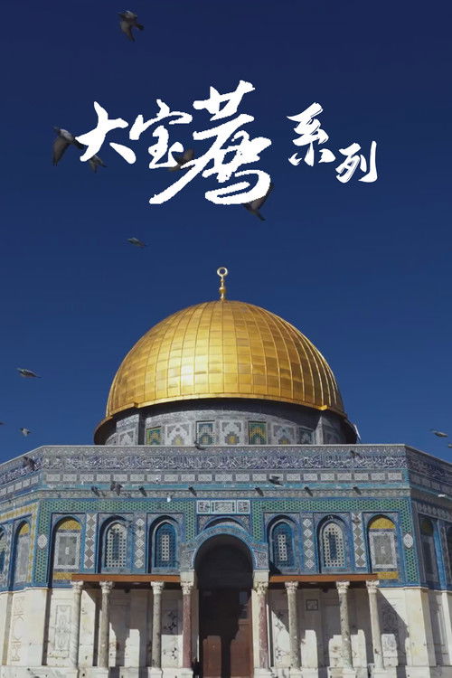 大宝荐系列 poster