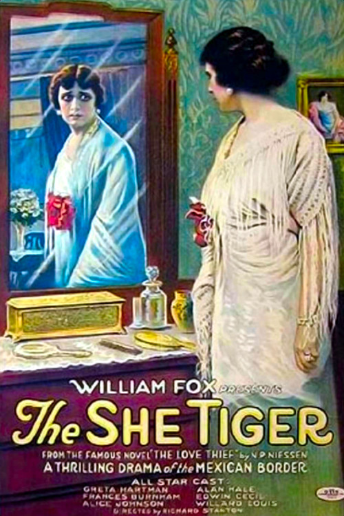 Movie poster for The Love Thief (1916)