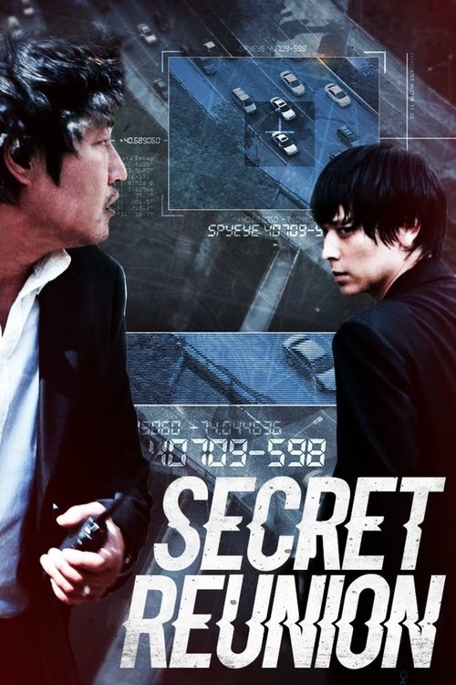 Movie poster for Secret Reunion (2010)