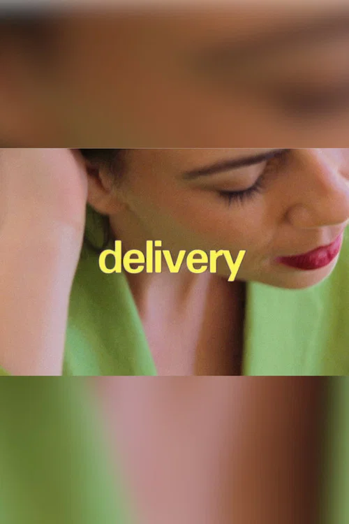 Movie poster for Delivery (2018)