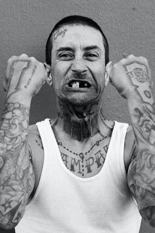 Photo of Andy Roy, Acting