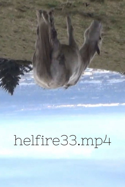 Movie poster for hellfire33.mp4 (2023)