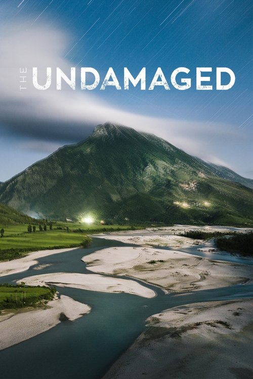 Movie poster for The Undamaged (2018)