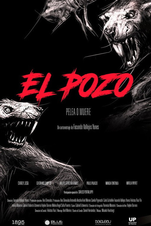 Movie poster for El pozo (2017)