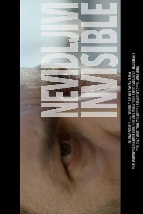 Movie poster for Invisible (2017)