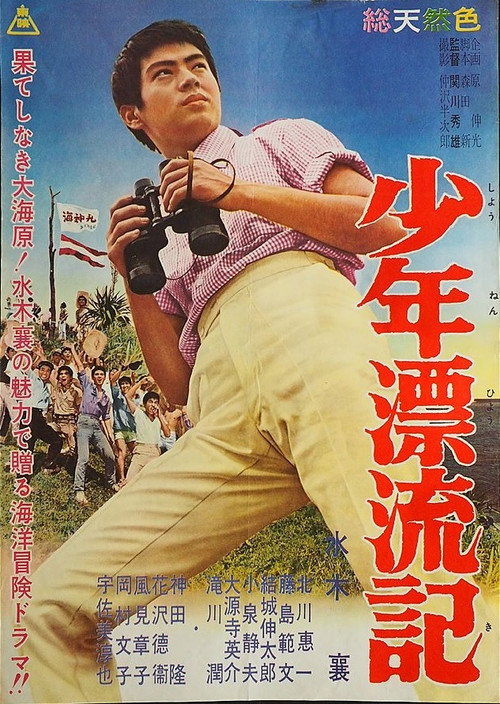 Movie poster for Tale of Young Drifter (1960)