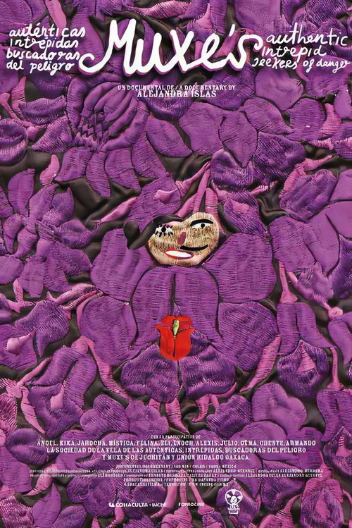 Movie poster for Muxes: Authentic, Fearless Seekers of Danger (2005)