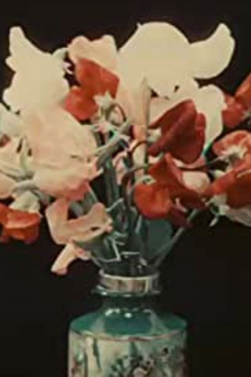 Movie poster for Varieties of Sweet Peas (1911)