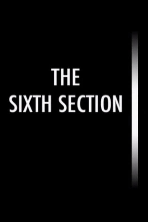 Movie poster for The Sixth Section (2003)