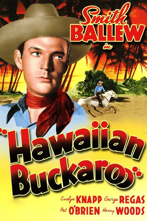 Movie poster for Hawaiian Buckaroo (1938)